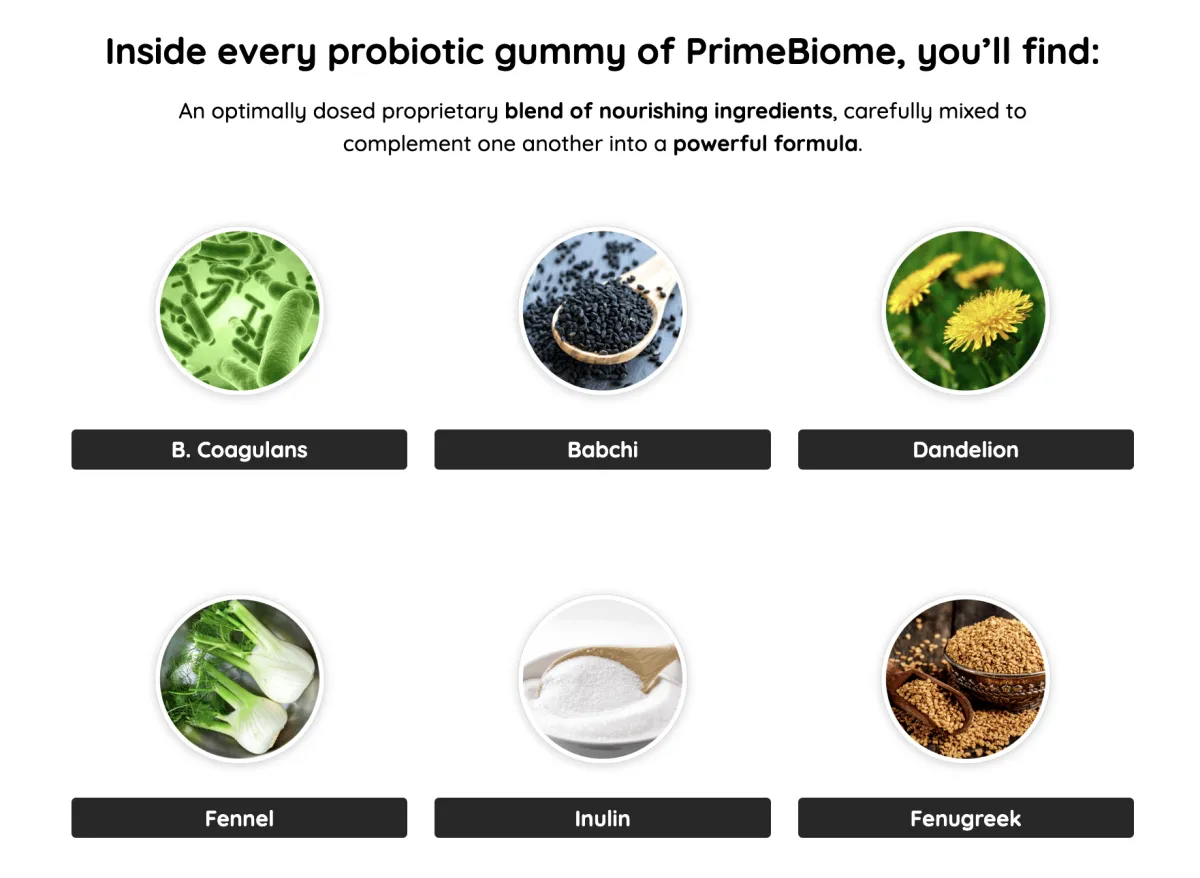 primebiome ingredients